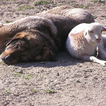 Rurales Ecopangea * Valverde de la Vera