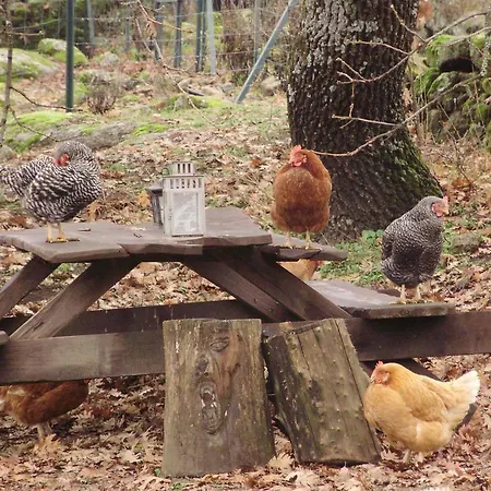 Rurales Ecopangea Country house