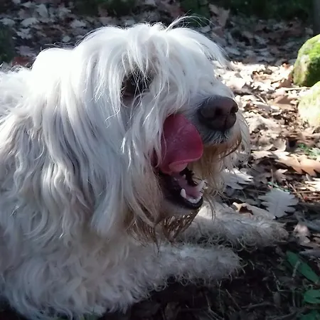 Rurales Ecopangea Valverde de la Vera