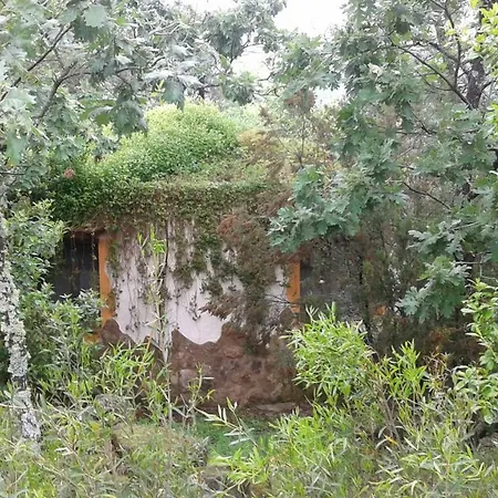 Rurales Ecopangea Casa rural Valverde de la Vera