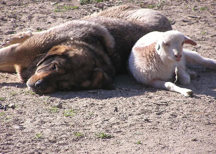 Rurales Ecopangea * Valverde de la Vera