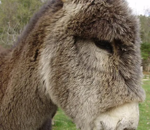 Rurales Ecopangea Lantställe *