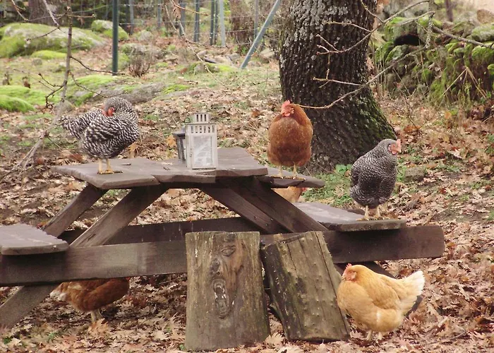 Rurales Ecopangea Lantställe