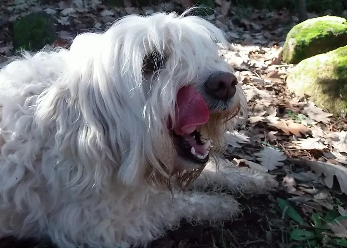 Rurales Ecopangea Valverde de la Vera