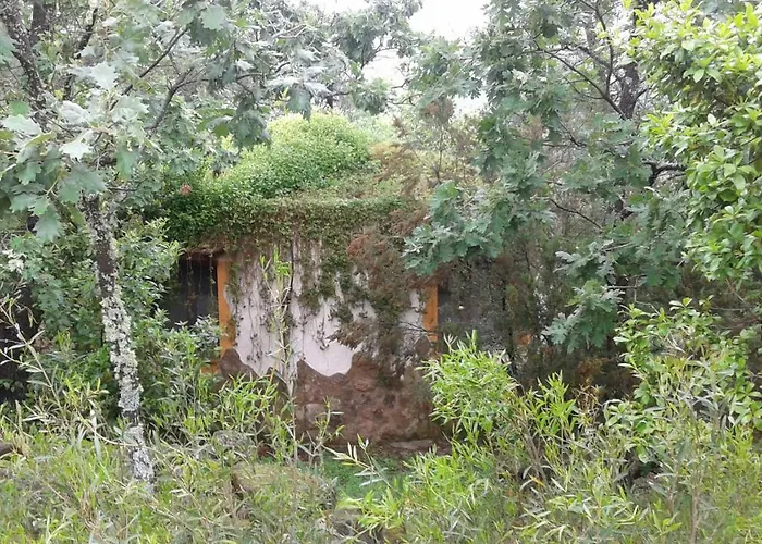 Rurales Ecopangea Lantställe Valverde de la Vera