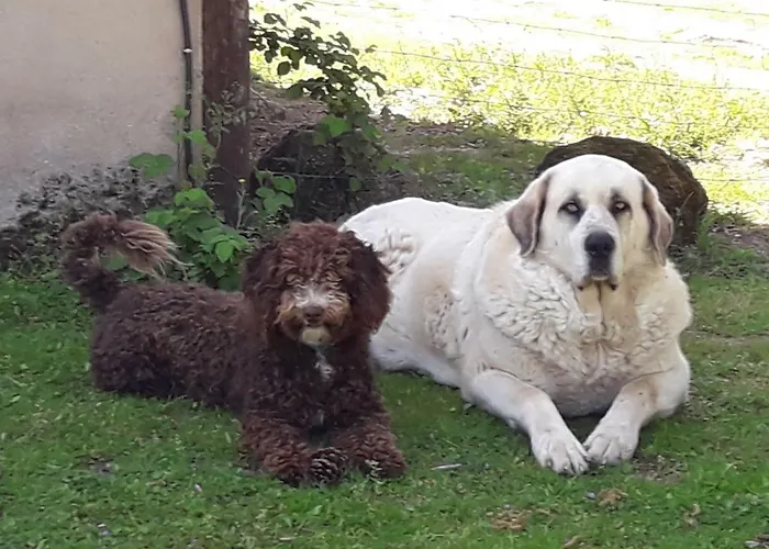 Rurales Ecopangea * Valverde de la Vera