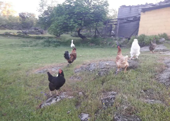 Rurales Ecopangea Lantställe Valverde de la Vera