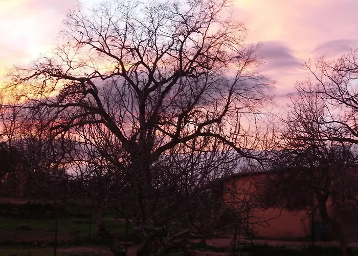 Rurales Ecopangea Lantställe *